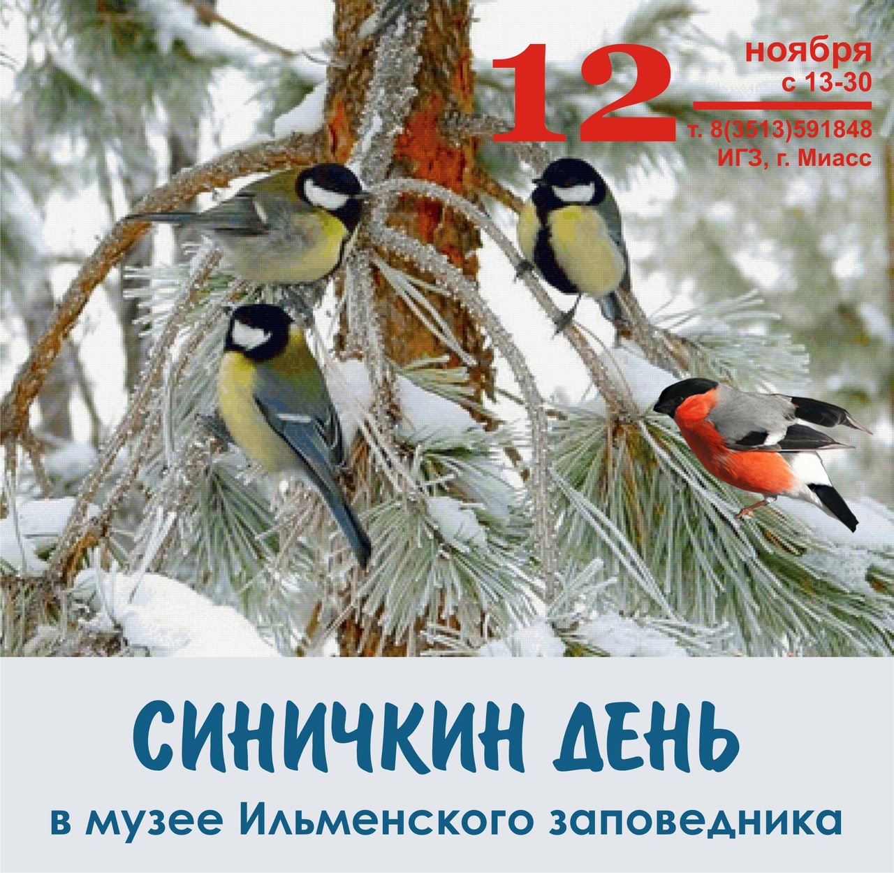 Экологический праздник “Синичкин день” – Южно-Уральский федеральный научный  центр минералогии и геоэкологии