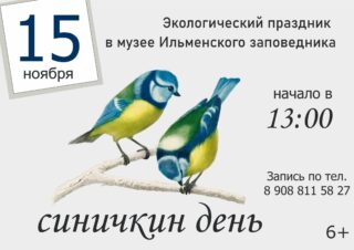 СИНИЧКИН ДЕНЬ