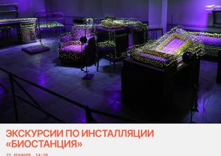 Программа мероприятий на Новогодние каникулы в Музее Ильменского заповедника