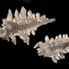 Нашатырь, дендритные кристаллы